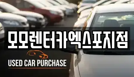 전남 여수시 돌산읍 렌트카 전문 모모렌터카엑스포지점