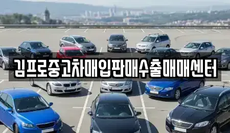 전남 여수시 돌산읍 중고차매입 전문 김프로중고차매입판매수출매매센터
