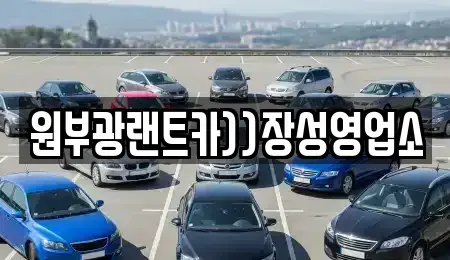 전남 장성군 북일면 렌트카 전문 원부광랜트카))장성영업소