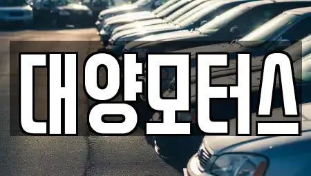 전남 장흥군 용산면 중고차매매 전문 대양모터스
