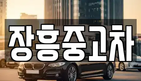 전남 장흥군 용산면 단기렌트카,중고차매입,중고차매매,중고차,렌트카,장기렌트카