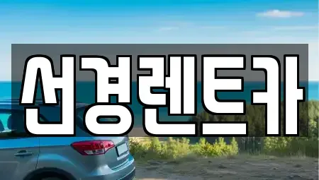 전남 진도군 렌트카 전문 선경렌트카