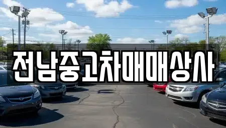 전남 진도군 중고차매매 전문 전남중고차매매상사