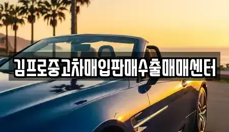 전남 진도군 단기렌트카,중고차매입,중고차매매,중고차,렌트카,장기렌트카