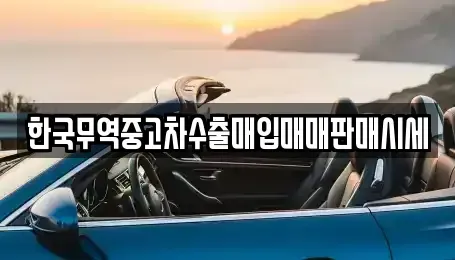 전남 진도군 중고차매입 전문 한국무역중고차수출매입매매판매시세