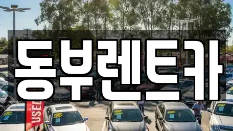 전남 해남군 마산면 렌트카 전문 동부렌트카