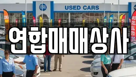 전남 해남군 마산면 중고차매매 전문 연합매매상사