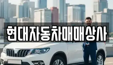 전남 해남군 마산면 중고차매입 전문 현대자동차매매상사