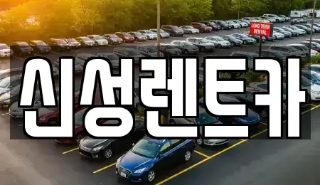 전라남도 나주시 장기렌트카 전문 신성렌트카