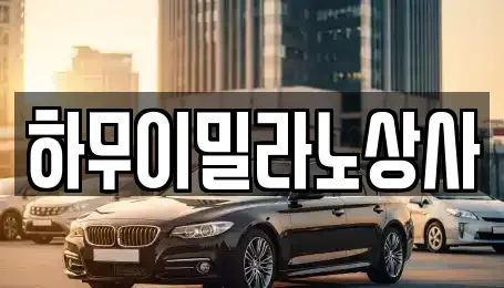 전라남도 나주시 중고차 전문 하무이밀라노상사