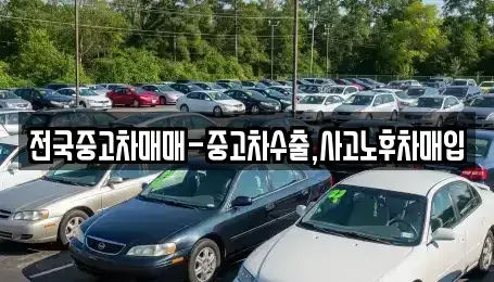 전라남도 목포시 영해동1가 중고차 전문 전국중고차매매-중고차수출,사고노후차매입