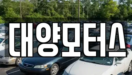 전라남도 목포시 중동1가 중고차매매 전문 대양모터스