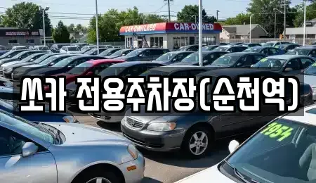 전라남도 순천시 풍덕동 렌트카 전문 쏘카 전용주차장(순천역)