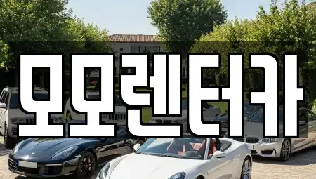 전라남도 여수시 오림동 렌트카 전문 모모렌터카