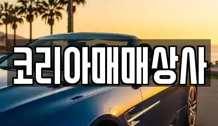 전라남도 여수시 화양면 중고차 전문 코리아매매상사