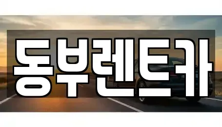 전라남도 완도군 군외면 렌트카 전문 동부렌트카