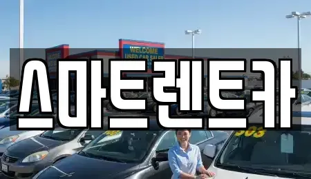 전라남도 완도군 군외면 렌트카 전문 스마트렌트카