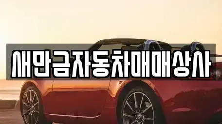전북 군산시 동흥남동 중고차 전문 새만금자동차매매상사