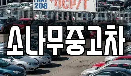 전북 김제시 서암동 중고차매매 전문 소나무중고차