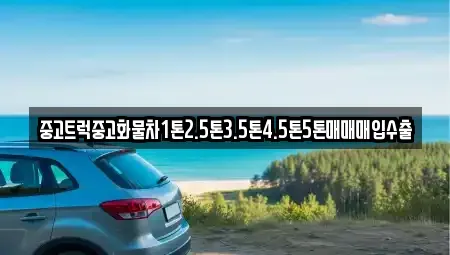 전북 김제시 월봉동 중고차 전문 중고트럭중고화물차1톤2.5톤3.5톤4.5톤5톤매매매입수출