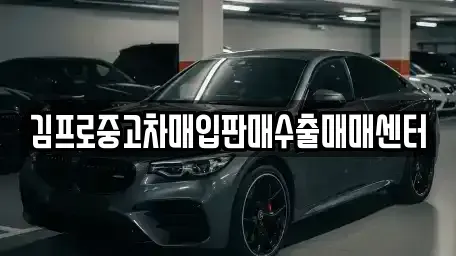 전북 남원시 송동면 중고차매입 전문 김프로중고차매입판매수출매매센터
