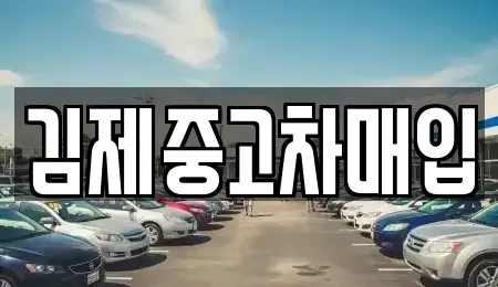 전북 완주군 이서면 중고차매입 전문 김제중고차매입