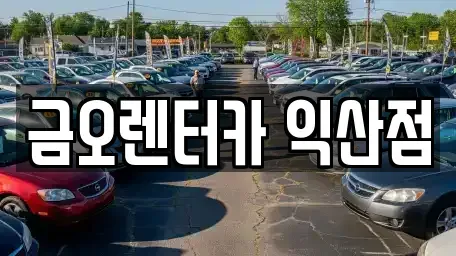 전북 익산시 장기렌트카 전문 금오렌터카 익산점