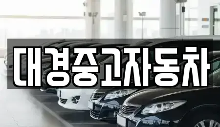 전북 전주시 덕진구 팔복동4가 중고차매매 전문 대경중고자동차