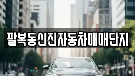 전북 전주시 덕진구 팔복동4가 중고차매매 전문 팔복동신진자동차매매단지