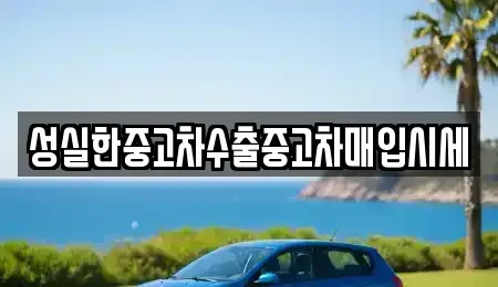 전북 전주시 덕진구 팔복동4가 중고차매입 전문 성실한중고차수출중고차매입시세
