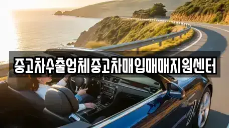 전북 정읍시 북면 중고차매입 전문 중고차수출업체중고차매입매매지원센터