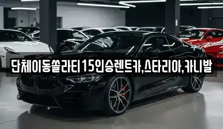 전북특별자치도 군산시 장재동 렌트카 전문 단체이동쏠라티15인승렌트카,스타리아,카니발