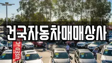 전북특별자치도 군산시 장재동 장기렌트카,중고차,렌트카,단기렌트카,중고차매입,중고차매매