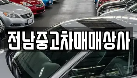 전북특별자치도 김제시 월성동 중고차매매 전문 전남중고차매매상사