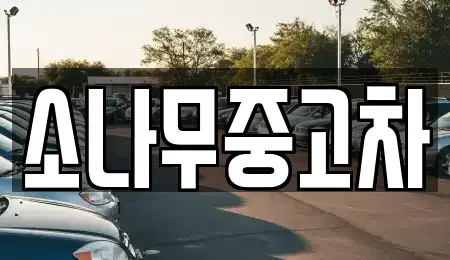 전북특별자치도 김제시 입석동 중고차매매 전문 소나무중고차