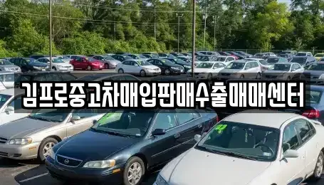 전북특별자치도 김제시 입석동 중고차매입 전문 김프로중고차매입판매수출매매센터