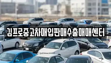 전북특별자치도 순창군 유등면 중고차매입 전문 김프로중고차매입판매수출매매센터