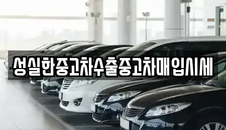 전북특별자치도 순창군 유등면 중고차매입 전문 성실한중고차수출중고차매입시세
