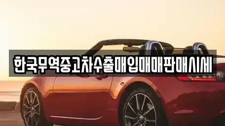 전북특별자치도 순창군 유등면 중고차매입 전문 한국무역중고차수출매입매매판매시세