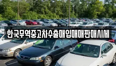 전북특별자치도 익산시 모현동1가 중고차매매 전문 한국무역중고차수출매입매매판매시세
