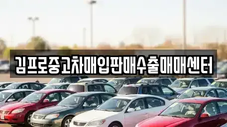 전북특별자치도 익산시 모현동1가 중고차매입 전문 김프로중고차매입판매수출매매센터