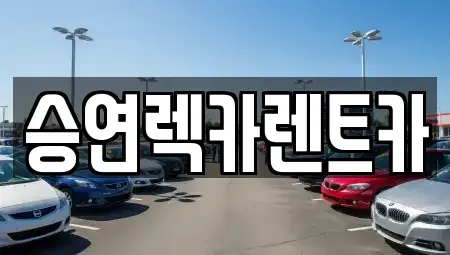 전북특별자치도 전주시 덕진구 반월동 렌트카 전문 승연렉카렌트카