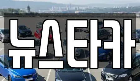 전북특별자치도 전주시 덕진구 반월동 중고차 전문 뉴스타카