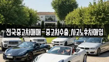 전북특별자치도 전주시 덕진구 반월동 장기렌트카,중고차,렌트카,단기렌트카,중고차매입,중고차매매