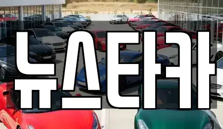 전북특별자치도 전주시 덕진구 여의동2가 중고차매매 전문 뉴스타카