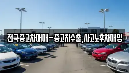 전북특별자치도 전주시 덕진구 여의동2가 중고차매입 전문 전국중고차매매-중고차수출,사고노후차매입