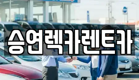 전북특별자치도 전주시 덕진구 용정동 렌트카 전문 승연렉카렌트카