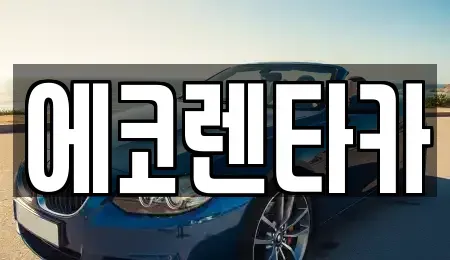 전북특별자치도 전주시 덕진구 용정동 렌트카 전문 에코렌타카