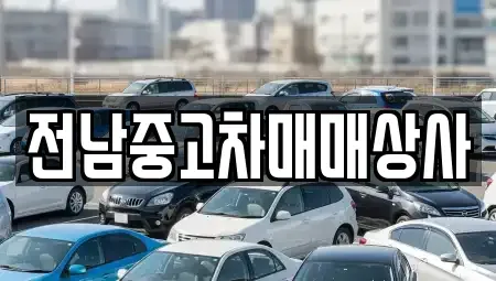전북특별자치도 전주시 덕진구 용정동 중고차 전문 전남중고차매매상사