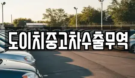 전북특별자치도 전주시 덕진구 우아동1가 중고차매매 전문 도이치중고차수출무역